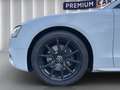 Audi A5 Sportback 3.0TDI Quattro S-Line*Garantie*Fin* Weiß - thumbnail 18