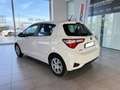 Toyota Yaris 1.5 Hybrid Active 36 mesi di garanzia Bianco - thumbnail 4