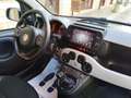 Fiat Panda Panda Cross 1.0 FireFly S&S Hybrid Bleu - thumbnail 12