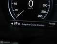 Volvo V60 Cross Country D4 AWD |ACC|PILOT|PANO|lEER| bomvol!! Gris - thumbnail 39
