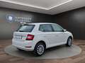 Skoda Fabia 1.0 MPI Cool Plus DAB+FREISPRECH+KLIMA Klima Weiß - thumbnail 5