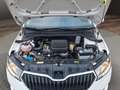 Skoda Fabia Cool Plus 1.0 MPI DAB Klima Fenster el. Weiß - thumbnail 9