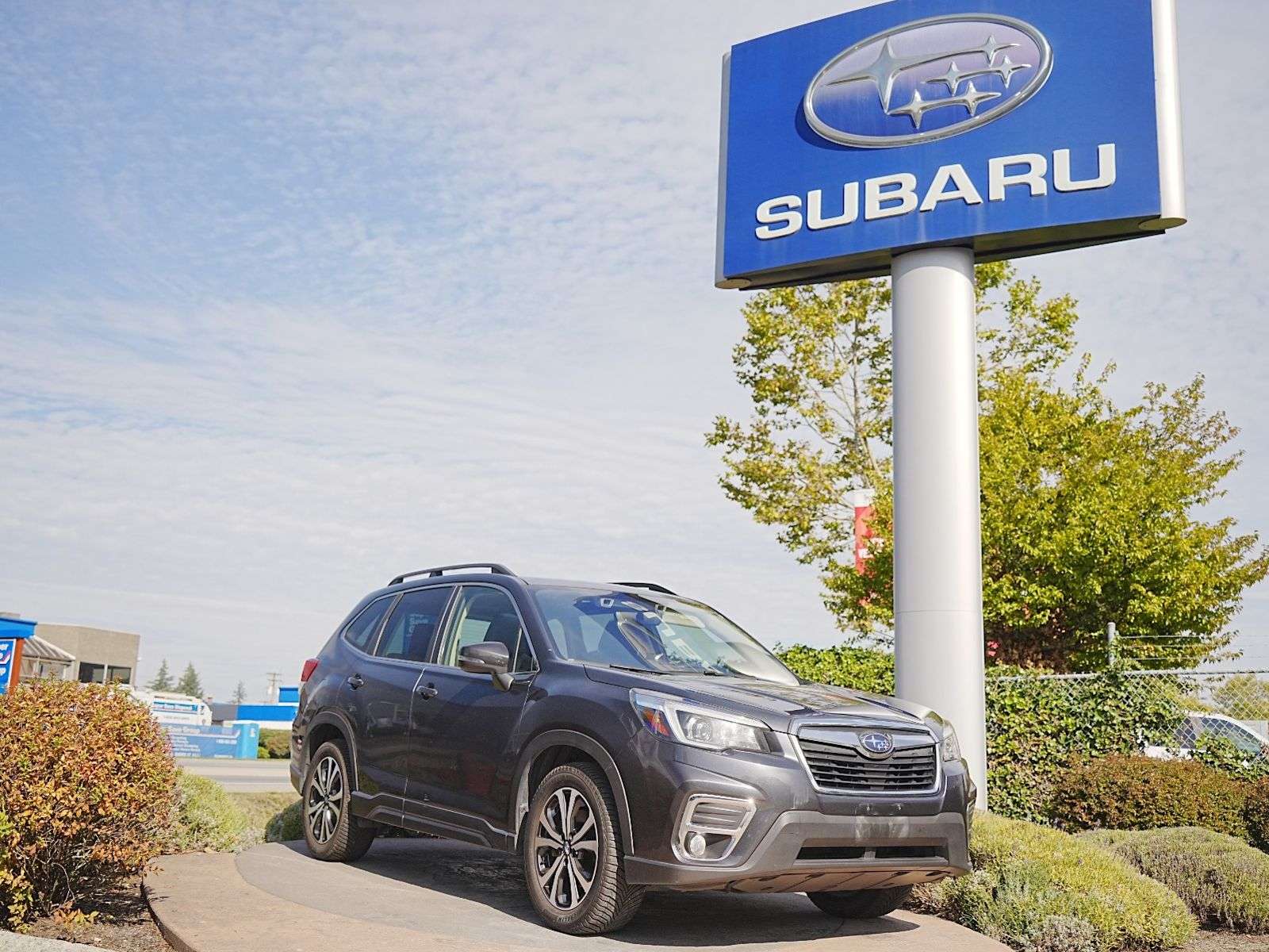 2019 Subaru Forester
