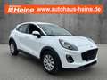 Ford Puma 1.0 EcoBoost Hybrid COOL & CONNECT Weiß - thumbnail 7
