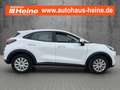 Ford Puma 1.0 EcoBoost Hybrid COOL & CONNECT Weiß - thumbnail 6