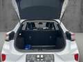 Ford Puma 1.0 EcoBoost Hybrid COOL & CONNECT Weiß - thumbnail 15