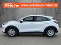 Ford Puma 1.0 EcoBoost Hybrid COOL & CONNECT Weiß - thumbnail 2