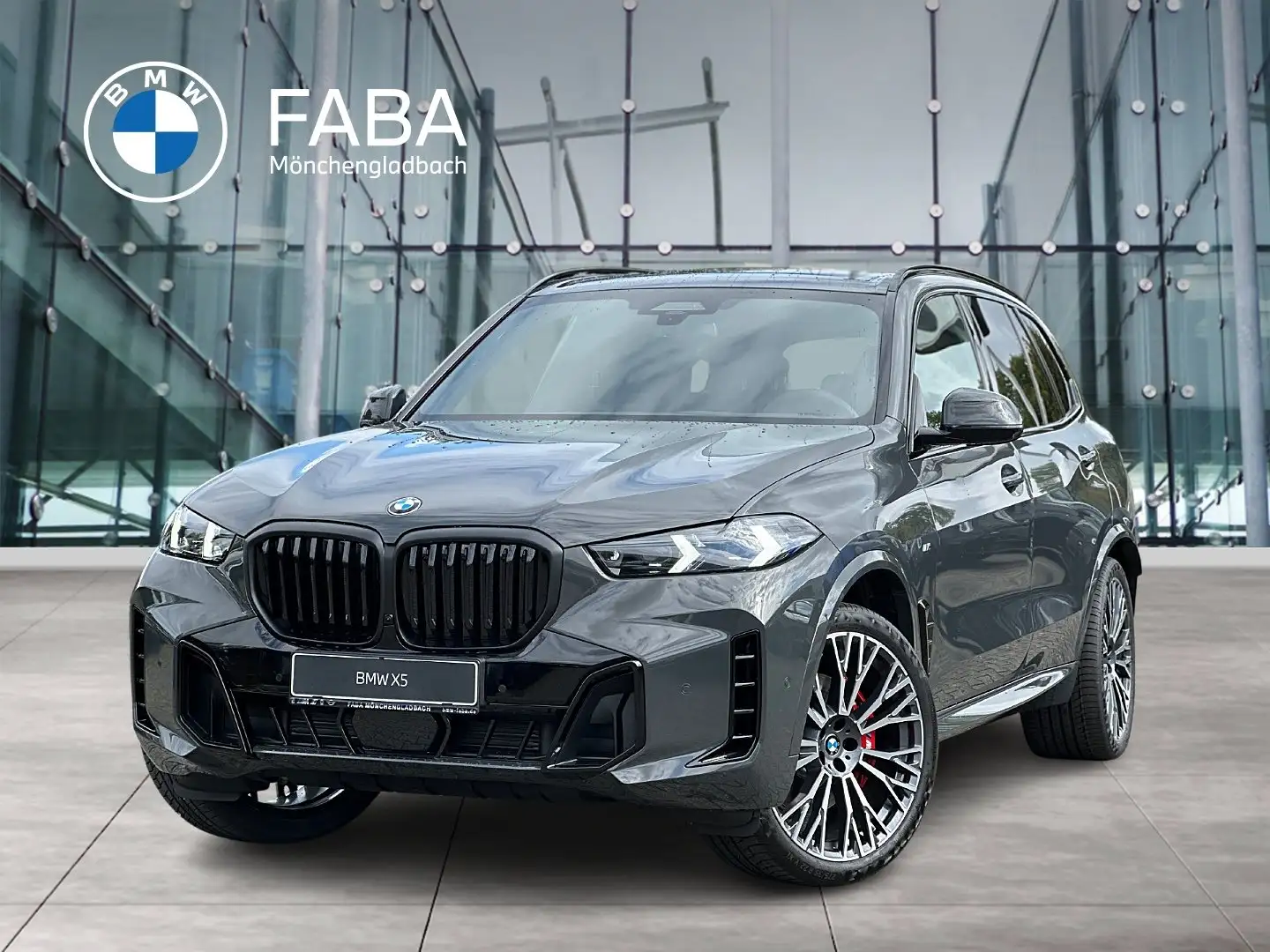 BMW X5 xDrive40d M Sportpaket B&W Surround DAB LED Grau - 1