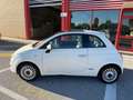 Fiat 500 1.2 Lounge 69cv, NEOPATENTATI OK! Bianco - thumbnail 4