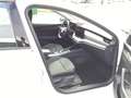 Skoda Octavia Selection 1.5 TSI mHEV*NAVI*MATRIX-LED* Weiß - thumbnail 13