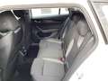 Skoda Octavia Selection 1.5 TSI mHEV*NAVI*MATRIX-LED* Weiß - thumbnail 11