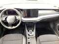 Skoda Octavia Selection 1.5 TSI mHEV*NAVI*MATRIX-LED* Weiß - thumbnail 8