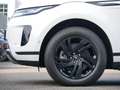 Land Rover Range Rover Evoque P300e S Winter Paket - 18" Weiß - thumbnail 9
