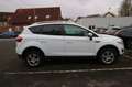 Ford Kuga Titanium Panorama/AHK/Leder Weiß - thumbnail 8