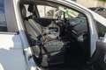Ford EcoSport 1.0 EcoBoost 125 CV Start&Stop Titanium Blanc - thumbnail 10