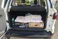 Ford EcoSport 1.0 EcoBoost 125 CV Start&Stop Titanium Blanc - thumbnail 14