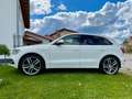Audi SQ5 Audi SQ5 - 350PS+21 Zoll+Pano+Standhz+B&O+Alcanta Weiß - thumbnail 7