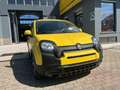 Fiat New Panda Panda 1.0 FireFly S&S Hybrid Pandina Giallo - thumbnail 2