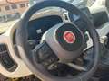 Fiat New Panda Panda 1.0 FireFly S&S Hybrid Pandina Giallo - thumbnail 3