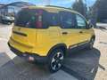 Fiat New Panda Panda 1.0 FireFly S&S Hybrid Pandina Giallo - thumbnail 9