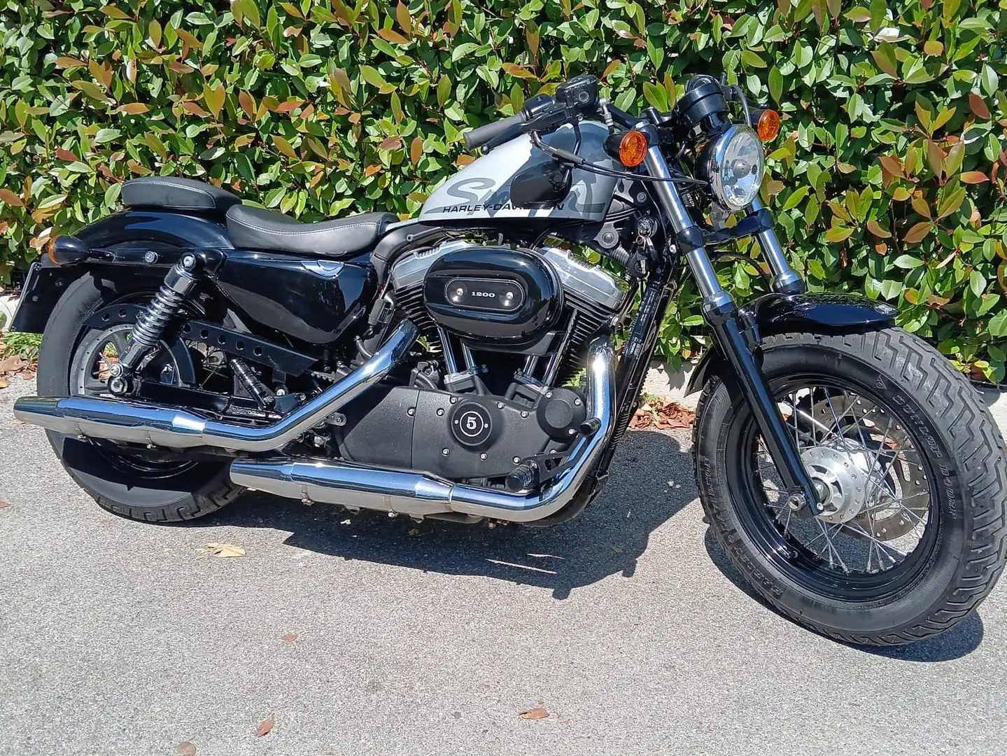 Harley-Davidson XL 1200 FORTY EIGHT Argintiu - 2