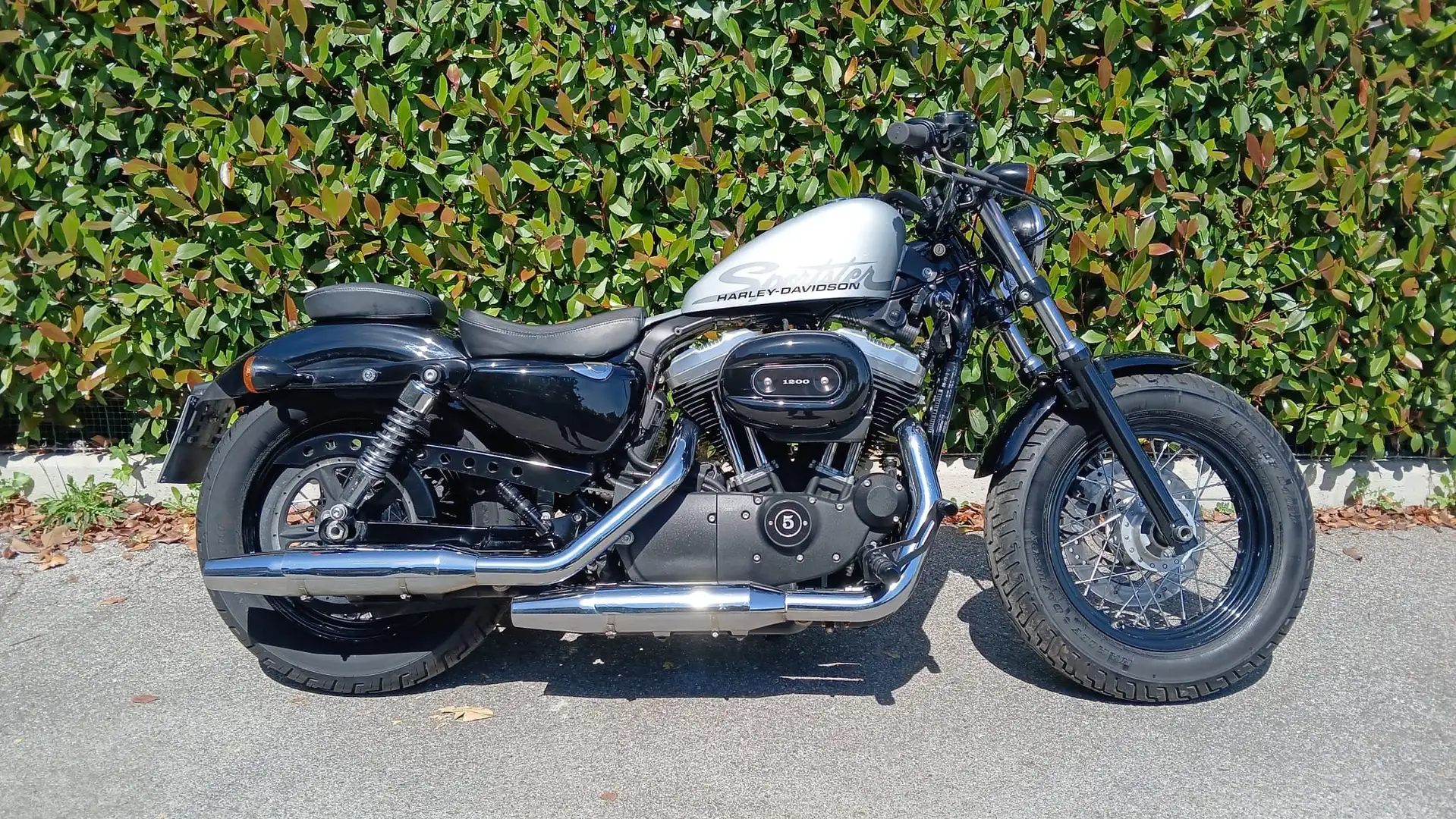 Harley-Davidson XL 1200 FORTY EIGHT Argintiu - 1