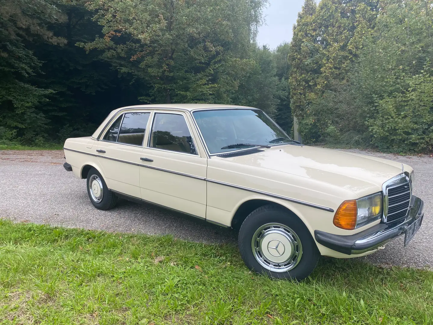 Mercedes-Benz 200 w123 typ 200 Beige - 2