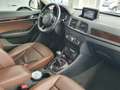 Audi Q3 2.0 tdi Business 120cv Bronze - thumbnail 10