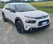 Citroen C4 C4 Cactus 1.6 bluehdi Shine s Blanco - thumbnail 24