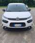 Citroen C4 C4 Cactus 1.6 bluehdi Shine s Blanco - thumbnail 23