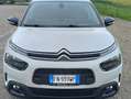 Citroen C4 C4 Cactus 1.6 bluehdi Shine s Blanco - thumbnail 3