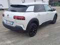 Citroen C4 C4 Cactus 1.6 bluehdi Shine s Blanco - thumbnail 14