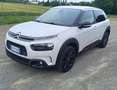 Citroen C4 C4 Cactus 1.6 bluehdi Shine s Blanco - thumbnail 13