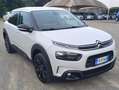 Citroen C4 C4 Cactus 1.6 bluehdi Shine s Blanco - thumbnail 1