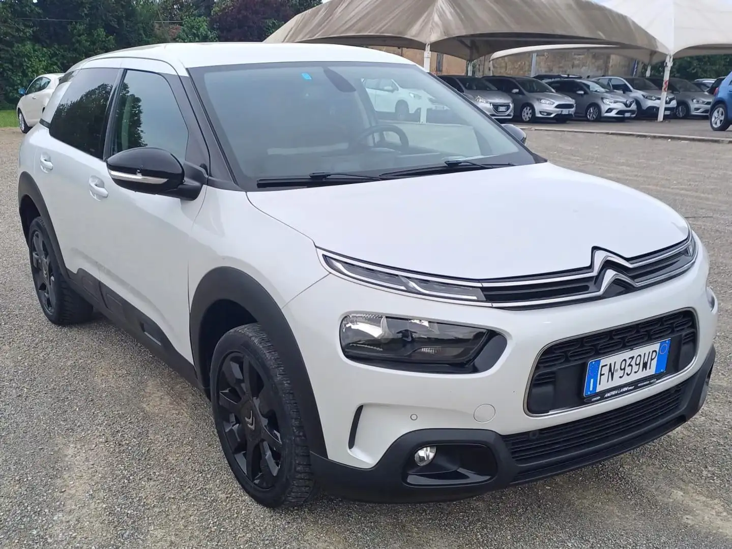 Citroen C4 C4 Cactus 1.6 bluehdi Shine s Blanco - 1