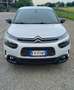Citroen C4 C4 Cactus 1.6 bluehdi Shine s Blanco - thumbnail 21