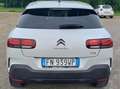 Citroen C4 C4 Cactus 1.6 bluehdi Shine s Blanco - thumbnail 4