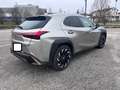 Lexus UX 250h UX 250h 2.0 F-Sport 4wd cvt my20 Szürke - thumbnail 24