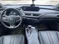 Lexus UX 250h UX 250h 2.0 F-Sport 4wd cvt my20 Gri - thumbnail 5