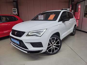 2.0 TSI 300CV 4Drive DSG7