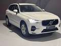 Volvo XC60 D4 Business Plus Aut. Bianco - thumbnail 4