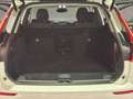 Volvo XC60 D4 Business Plus Aut. Bianco - thumbnail 15