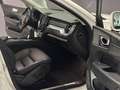 Volvo XC60 D4 Business Plus Aut. Bianco - thumbnail 13