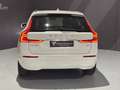 Volvo XC60 D4 Business Plus Aut. Bianco - thumbnail 25
