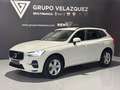 Volvo XC60 D4 Business Plus Aut. Bianco - thumbnail 6