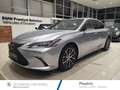Lexus ES 300 300h Luxe MY25 Gris - thumbnail 1