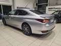 Lexus ES 300 300h Luxe MY25 Gris - thumbnail 13