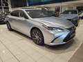Lexus ES 300 300h Luxe MY25 Gris - thumbnail 12