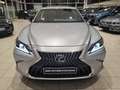 Lexus ES 300 300h Luxe MY25 Gris - thumbnail 11
