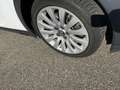 Opel Insignia A Country Tourer 2.0 Turbo 4x4 AHK, SHD Weiß - thumbnail 4